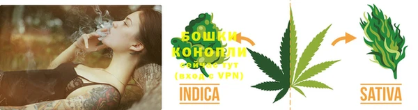 a pvp Белокуриха