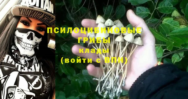 a pvp Белокуриха