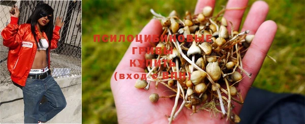 a pvp Белокуриха